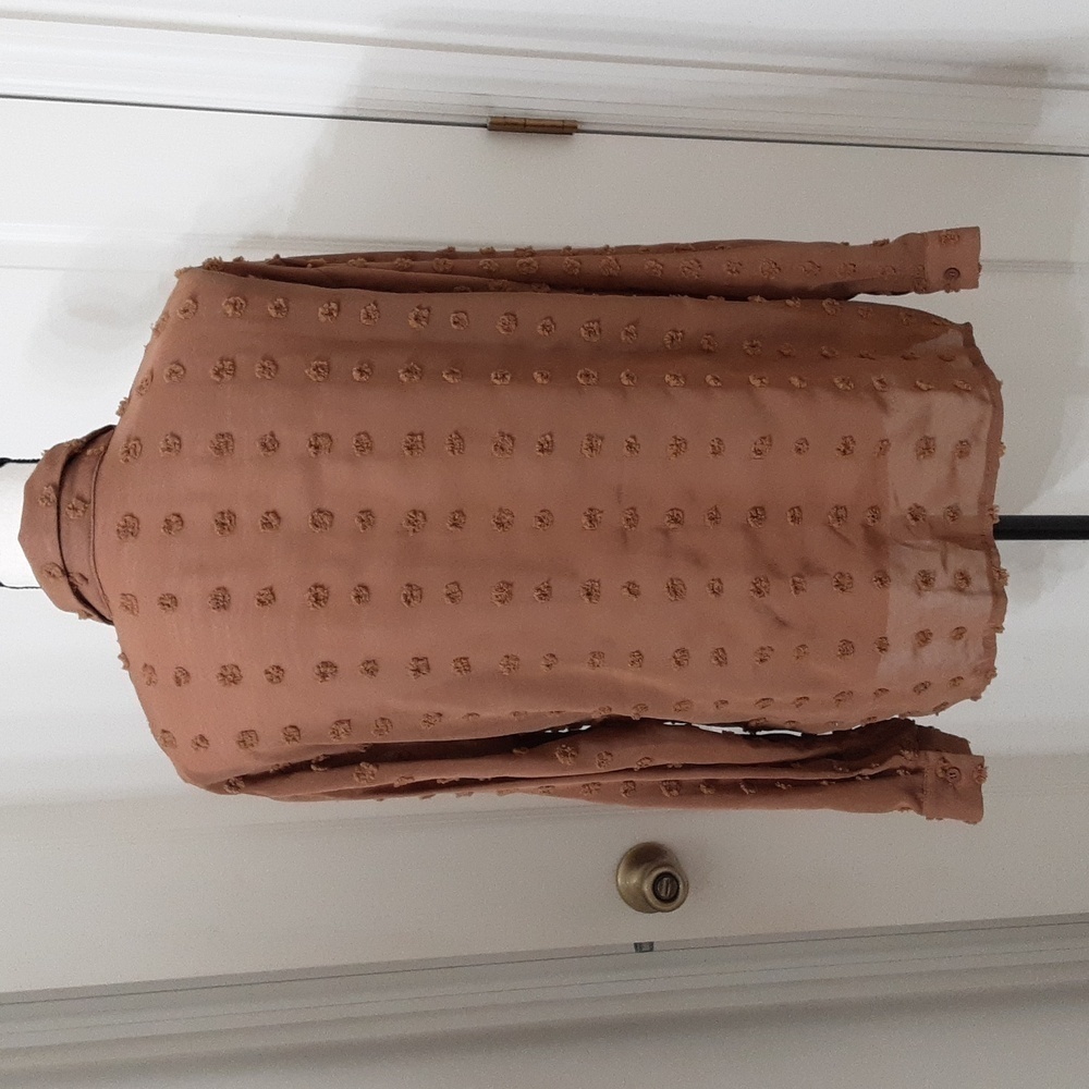 Ubranded Size M Milky Chocolate Brown Swiss Dot Long Sleeve Semi-Sheer Blouse - Picture 4 of 13